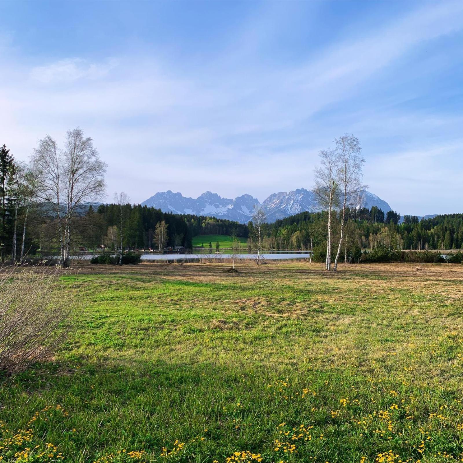 Апартаменты Waldnest Кицбюэль Экстерьер фото